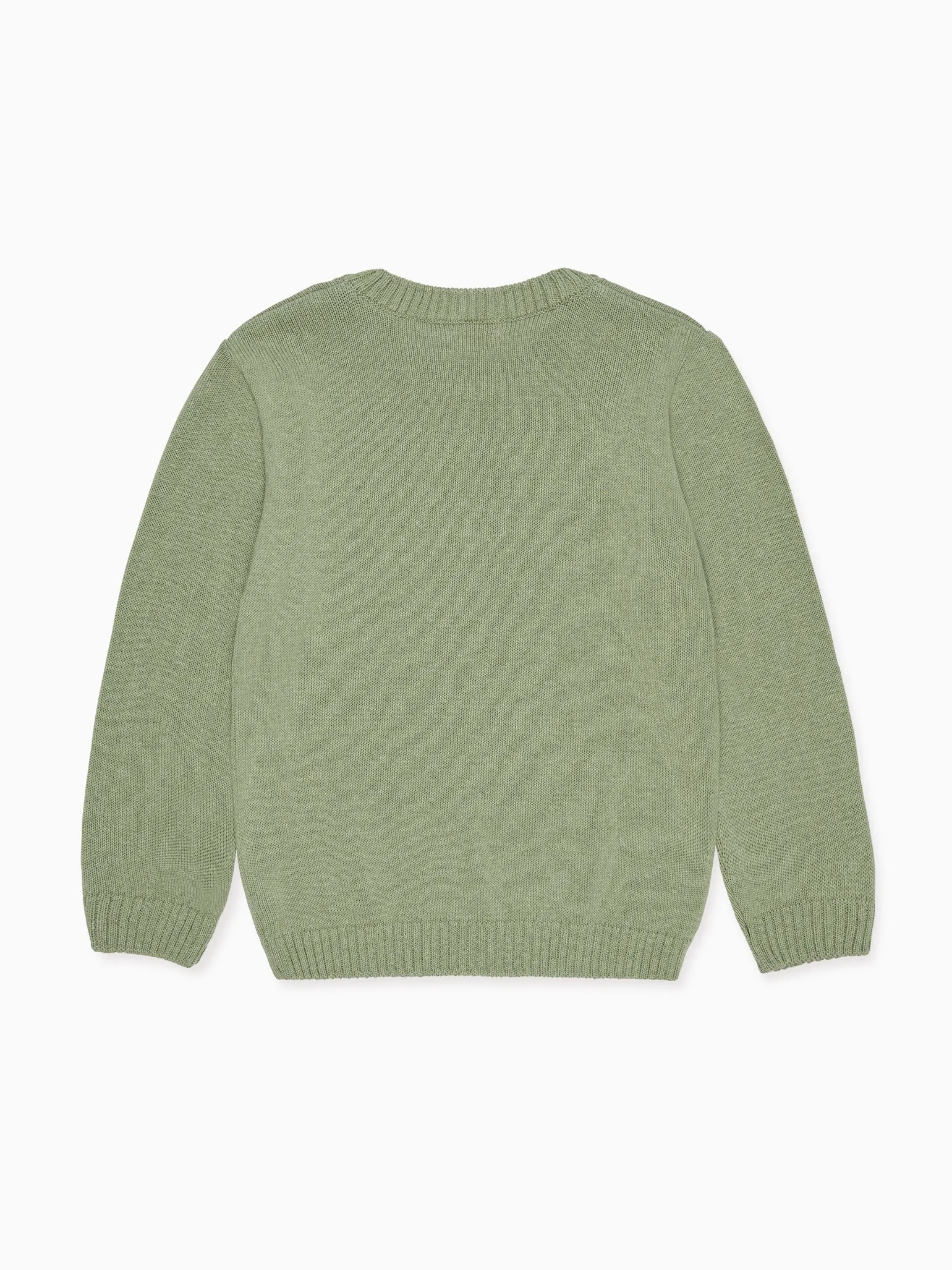 Sage Berto Cotton Boy Sweater