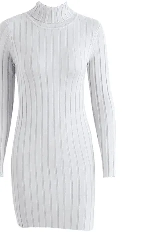 TURTLENECK RIBBED SWEATER DRESS
