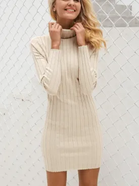 TURTLENECK RIBBED SWEATER DRESS