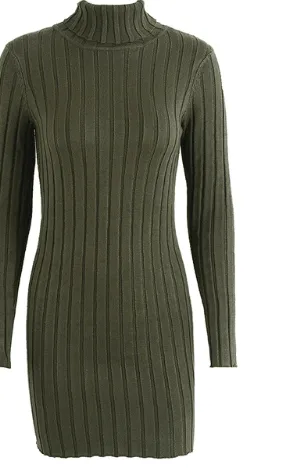 TURTLENECK RIBBED SWEATER DRESS
